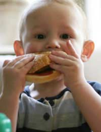 Fast Food Burgers Turkey Burger Potato