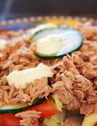 Fish Simple Recipes Mackerel Tuna Salmon